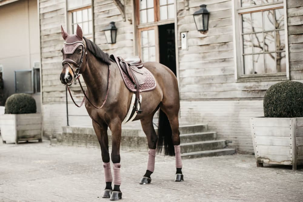 Kentucky Fly veil Wellington Velvet - Løwenborg - Kentucky Horsewear