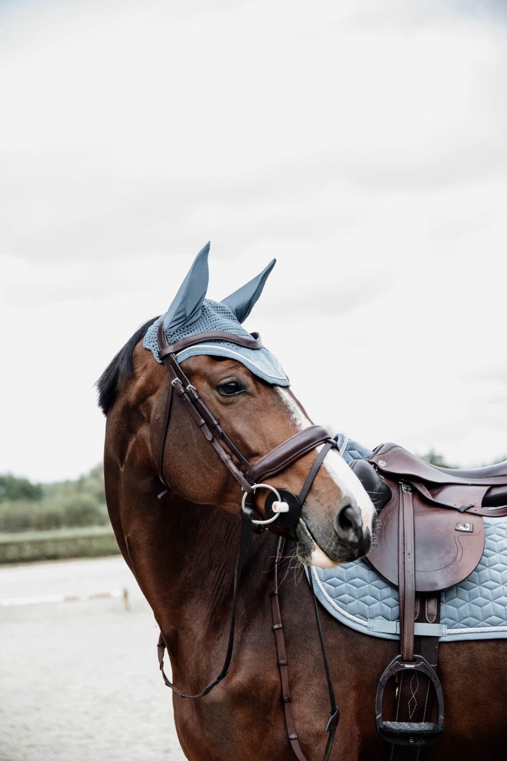 Kentucky Fly veil Wellington Velvet - Løwenborg - Kentucky Horsewear