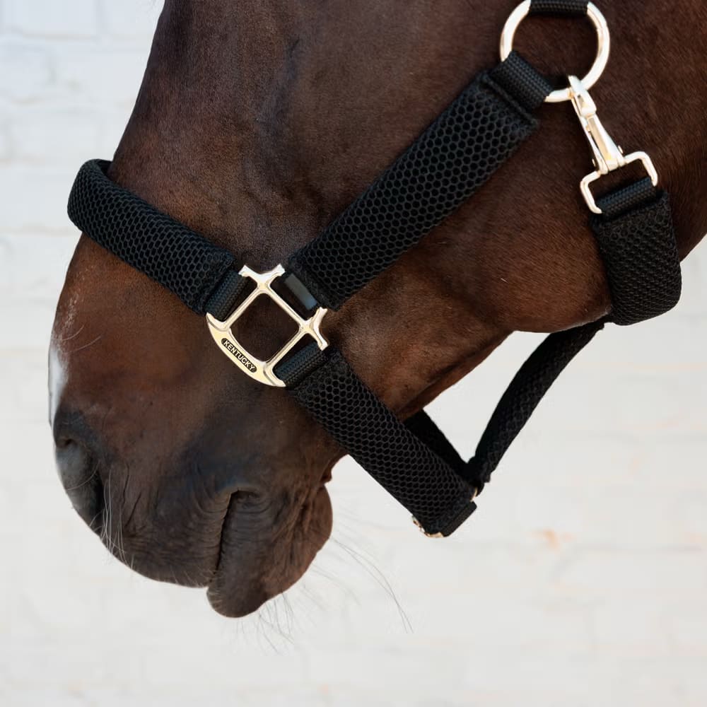 Kentucky Halter 3D Mesh - Løwenborg - Kentucky Horsewear