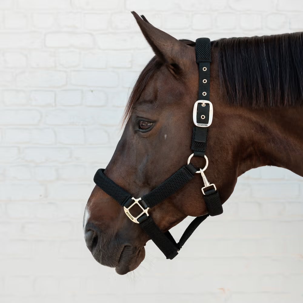 Kentucky Halter 3D Mesh - Løwenborg - Kentucky Horsewear