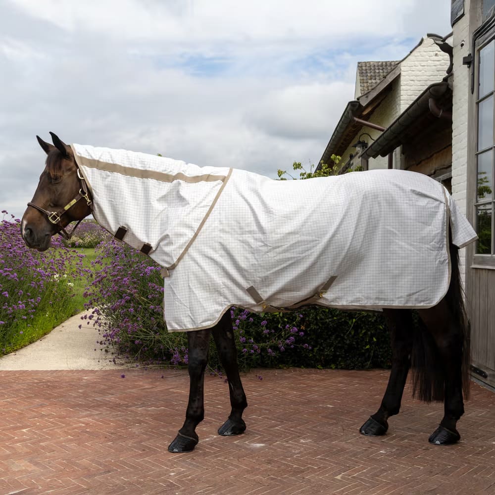 Kentucky Sweet Itch Fly & Summer Sheet Comfort - Løwenborg - Kentucky Horsewear