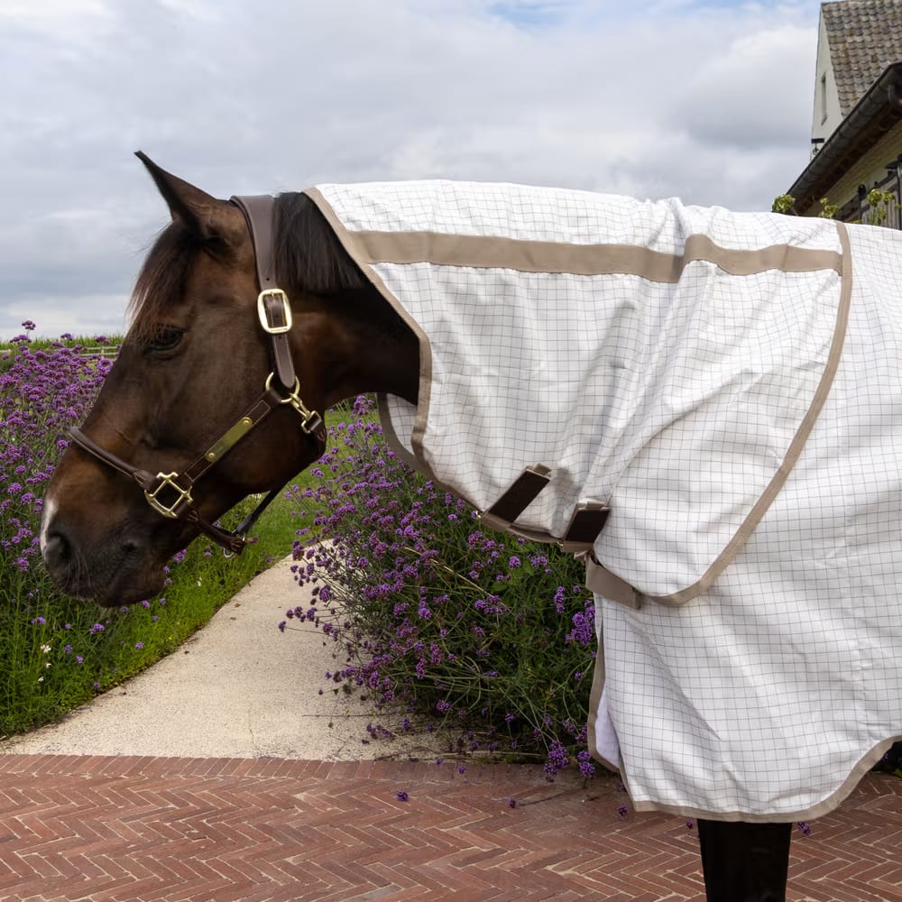 Kentucky Sweet Itch Fly & Summer Sheet Comfort - Løwenborg - Kentucky Horsewear