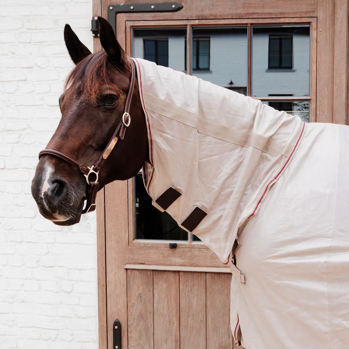 Kentucky Mesh Fly Rug Comfort Classic with Neck and Belly Cover - Løwenborg - Kentucky Horsewear