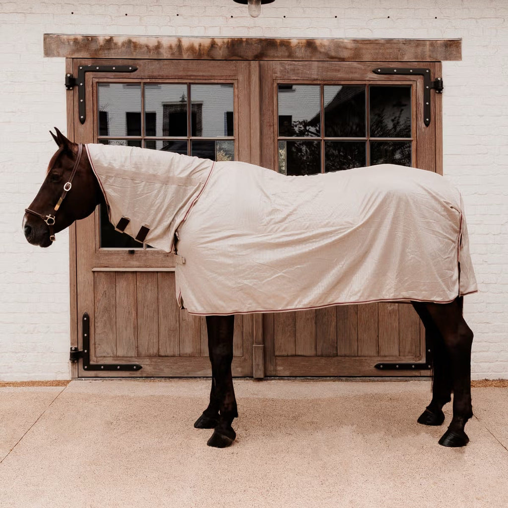 Kentucky Mesh Fly Rug Comfort Classic with Neck and Belly Cover - Løwenborg - Kentucky Horsewear