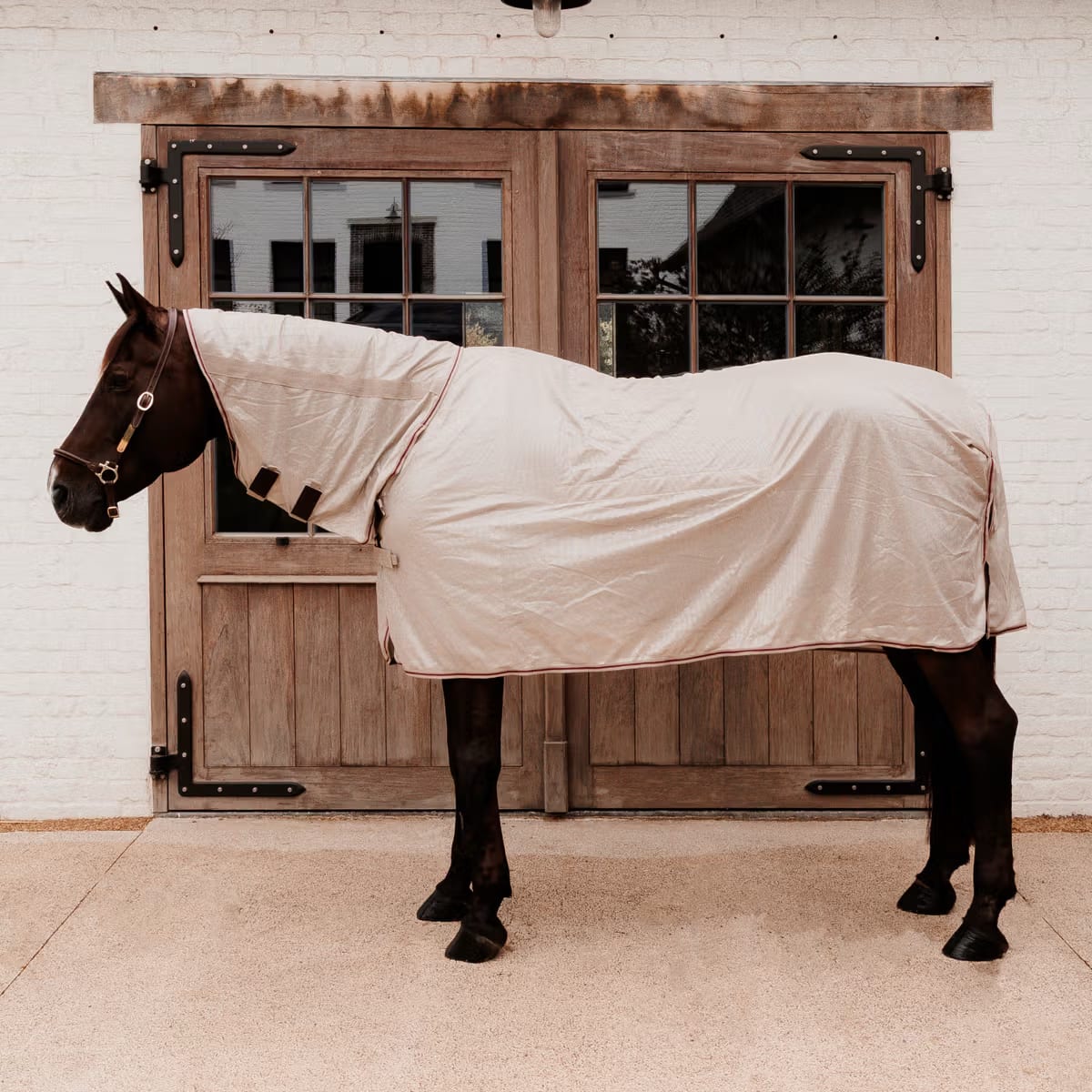 Kentucky Mesh Fly Rug Comfort Classic with Neck and Belly Cover - Løwenborg - Kentucky Horsewear