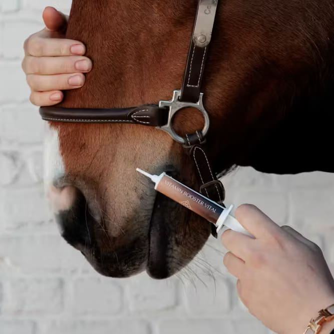 Grooming Deluxe Vitamin Booster Vital