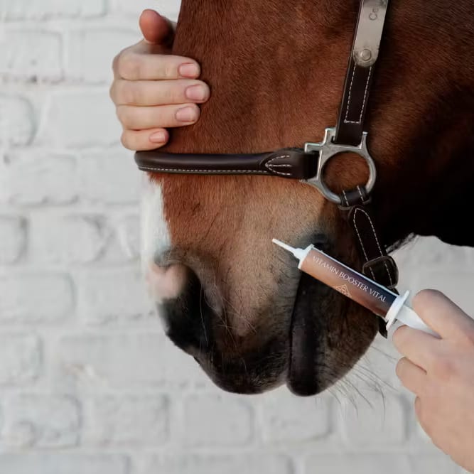 Grooming Deluxe Vitamin Booster Vital - Løwenborg - Grooming Deluxe