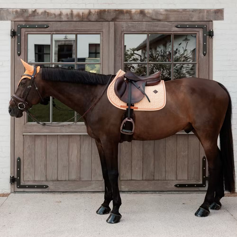 Kentucky Saddle Pad Velvet Printing Jumping - Løwenborg - Kentucky Horsewear