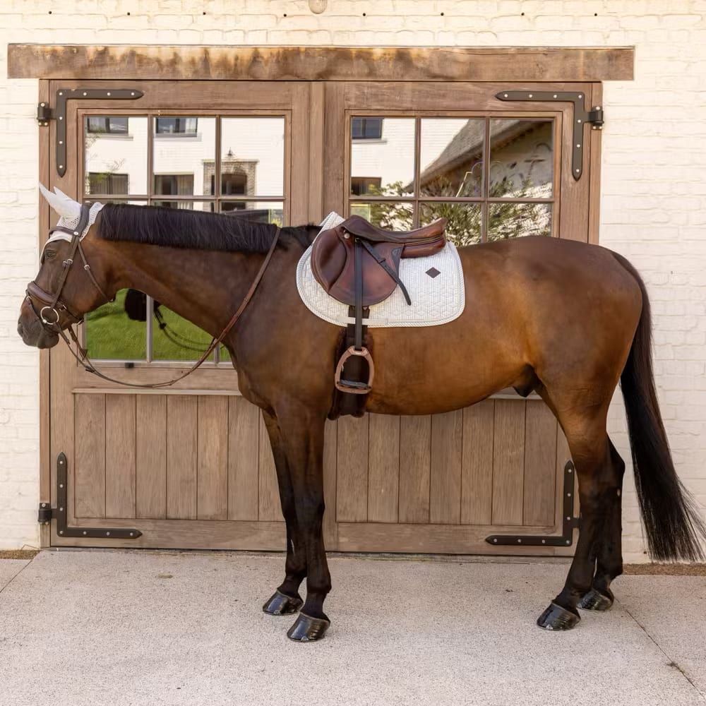 Kentucky Saddle Pad Velvet Printing Jumping - Løwenborg - Kentucky Horsewear