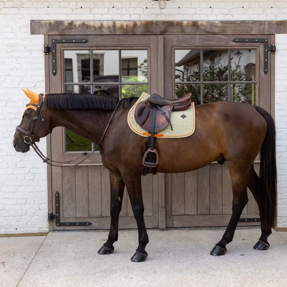 Kentucky Saddle Pad Velvet Printing Jumping - Løwenborg - Kentucky Horsewear