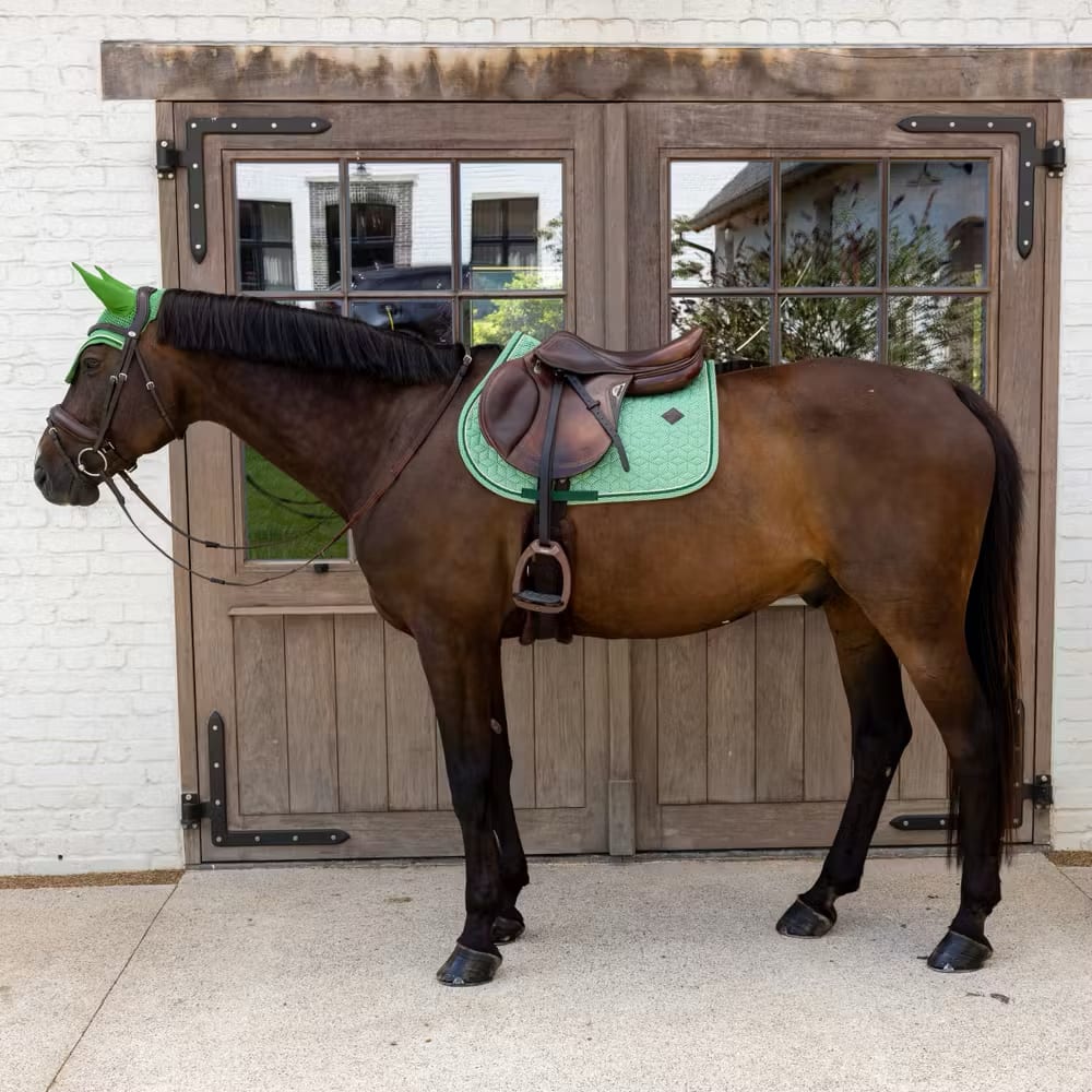 Kentucky Saddle Pad Velvet Printing Jumping - Løwenborg - Kentucky Horsewear