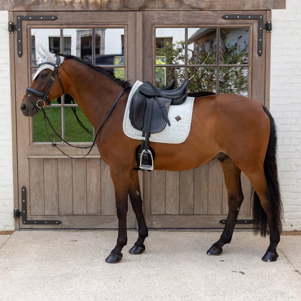 Kentucky Saddle Pad Velvet Printing Dressage - Løwenborg - Kentucky Horsewear