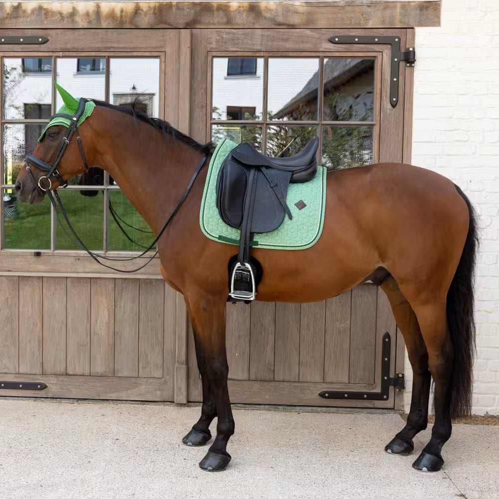Kentucky Saddle Pad Velvet Printing Dressage - Løwenborg - Kentucky Horsewear