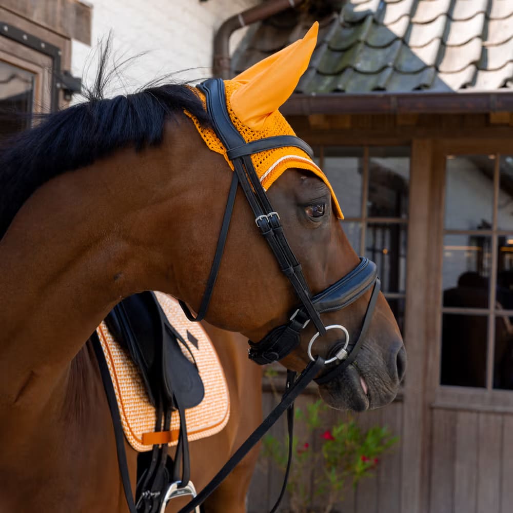 Kentucky Fly Veil Wellington Velvet Printing - Løwenborg - Kentucky Horsewear