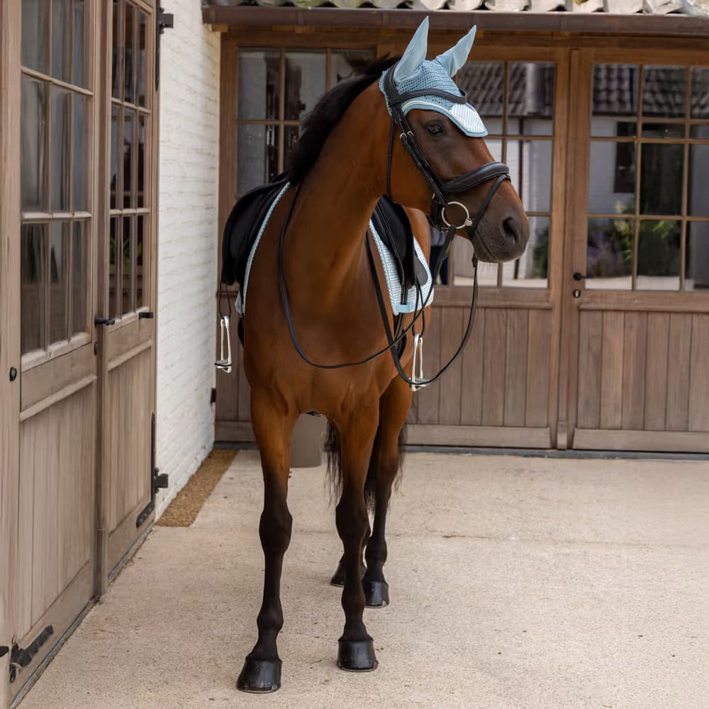 Kentucky Fly Veil Wellington Velvet Printing - Løwenborg - Kentucky Horsewear