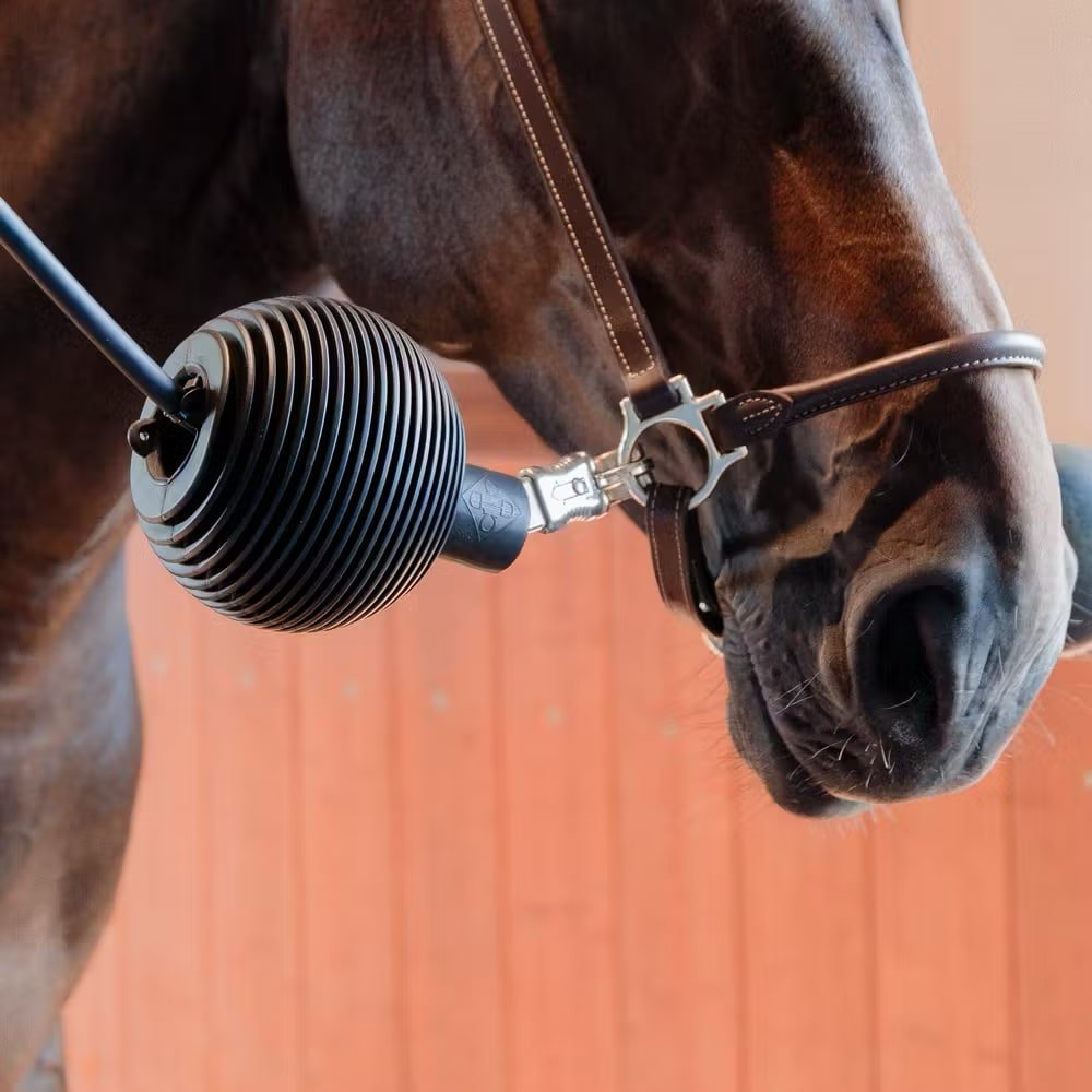 Kentucky Lead & Wall Protection Rubber Ball Pro - Løwenborg - Kentucky Horsewear