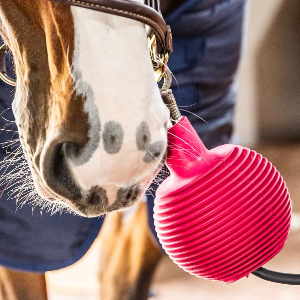 Kentucky Lead & Wall Protection Rubber Ball Pro - Løwenborg - Kentucky Horsewear