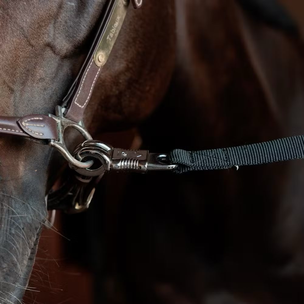 Kentucky Horse Box Lead & Cross Ties Safety - Løwenborg - Kentucky Horsewear