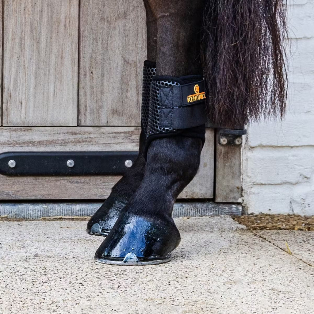 Kentucky Turnout Boots ProAir Short - Løwenborg - Kentucky Horsewear