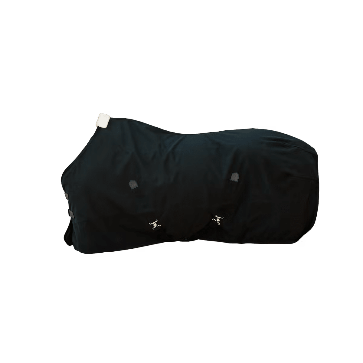 Kentucky Canvas Sheet