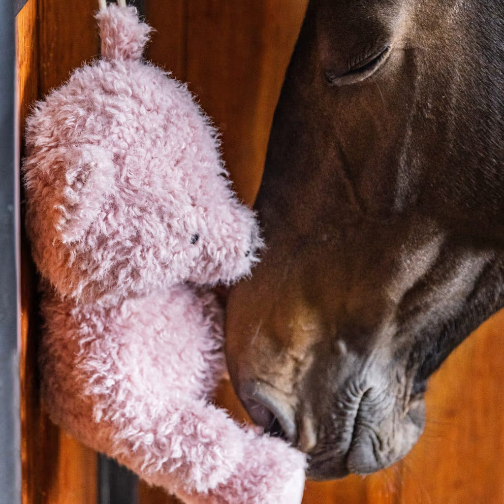 Kentucky Relax Horse Toy Bear - Løwenborg - Kentucky Horsewear