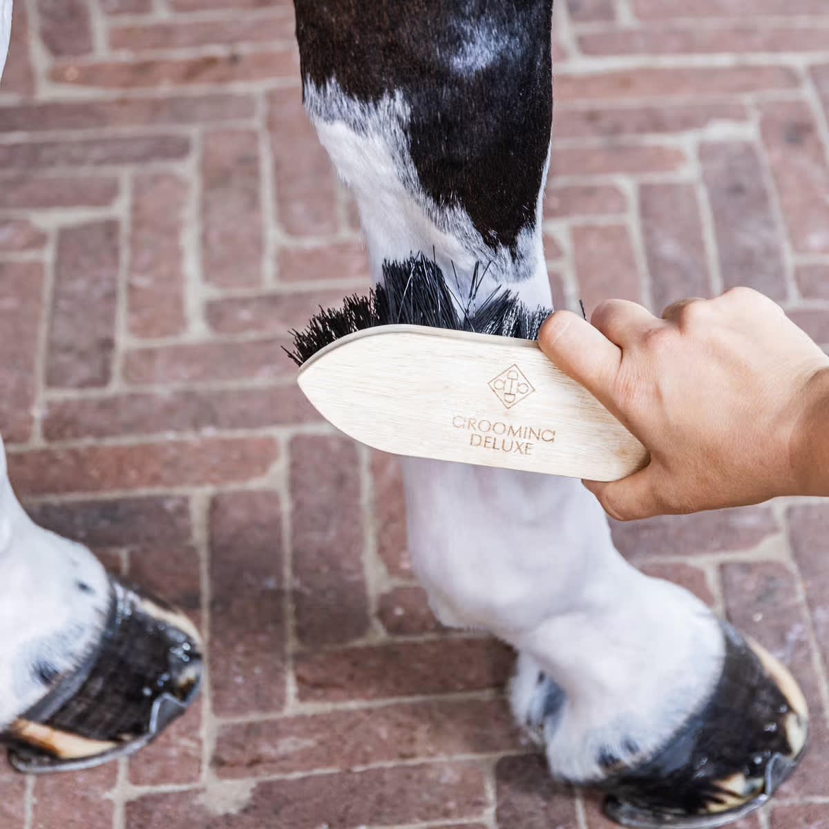 Grooming Deluxe Wooden Classic Brush Short Hard