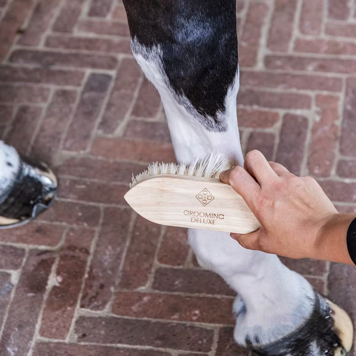 Grooming Deluxe Wooden Classic Brush Short Hard - Løwenborg - Grooming Deluxe