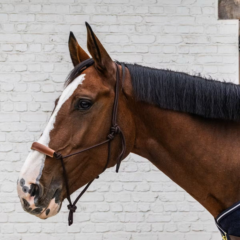 Kentucky Rope Halter - Løwenborg - Kentucky Horsewear