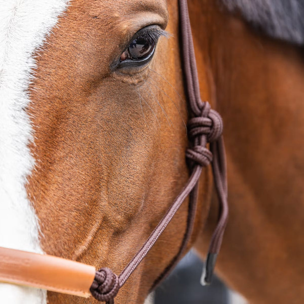 Kentucky Rope Halter - Løwenborg - Kentucky Horsewear