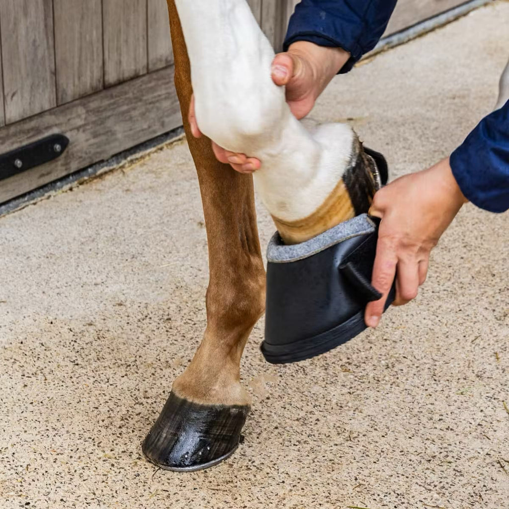 Kentucky Medical & Transition Hoof Boot ProStrong - Løwenborg - Kentucky Horsewear