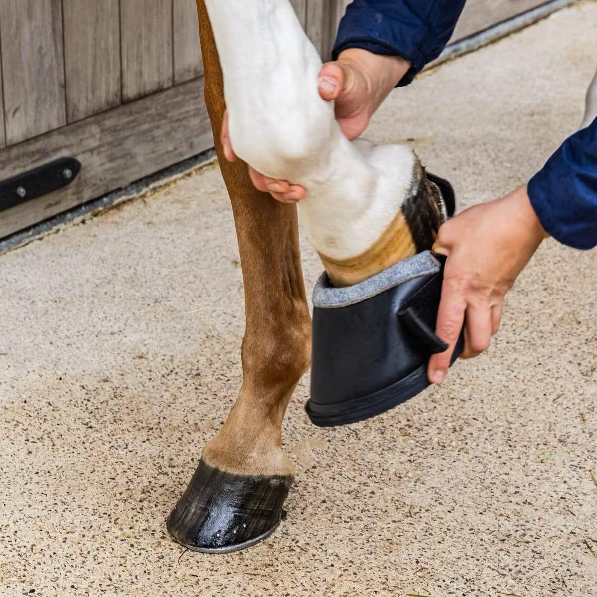 Kentucky Medical & Transition Hoof Boot ProStrong - Løwenborg - Kentucky Horsewear