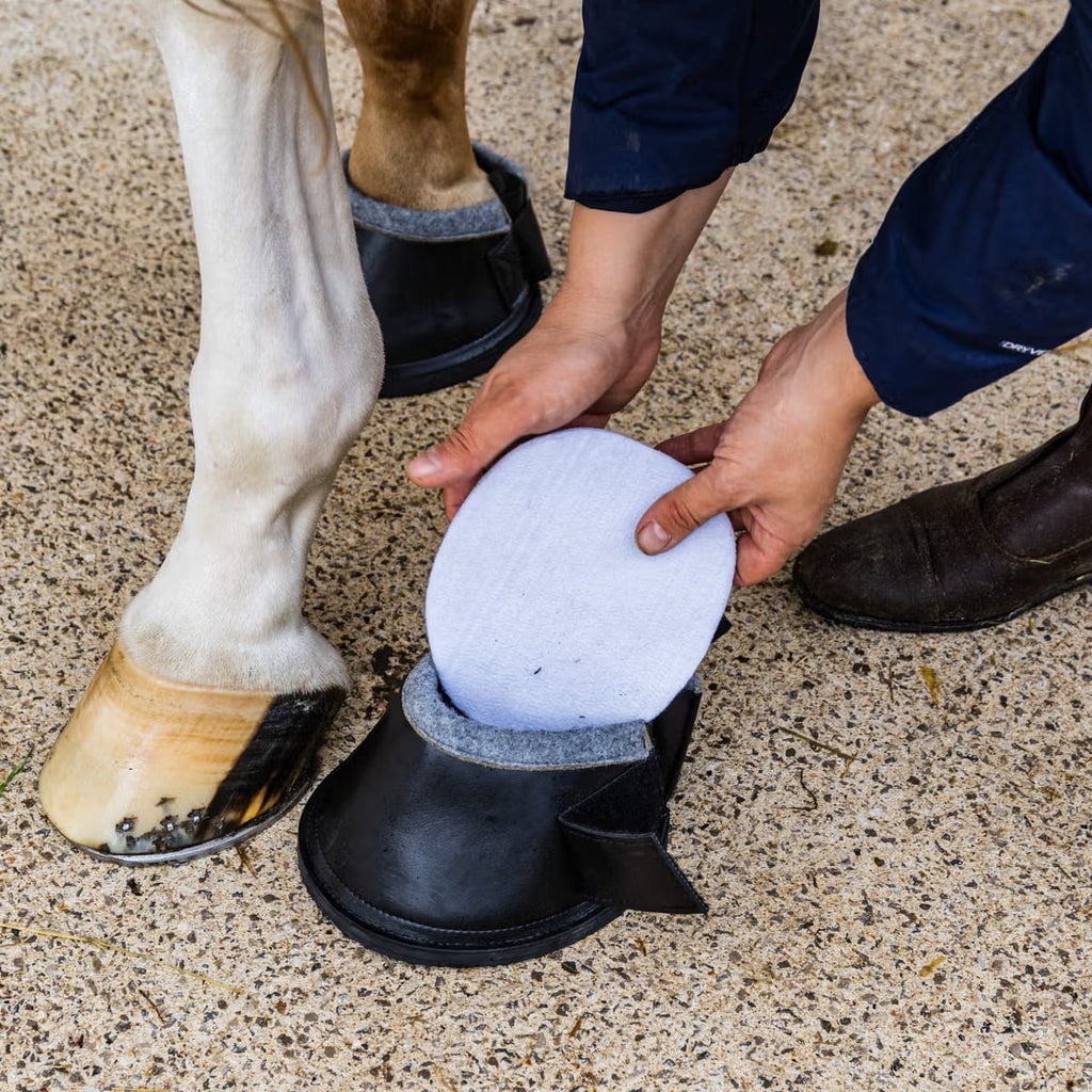 Kentucky Medical & Transition Hoof Boot ProStrong - Løwenborg - Kentucky Horsewear