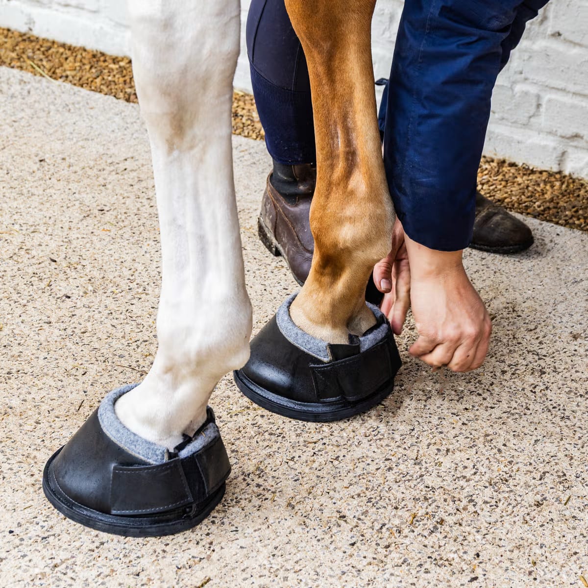 Kentucky Medical & Transition Hoof Boot ProStrong - Løwenborg - Kentucky Horsewear