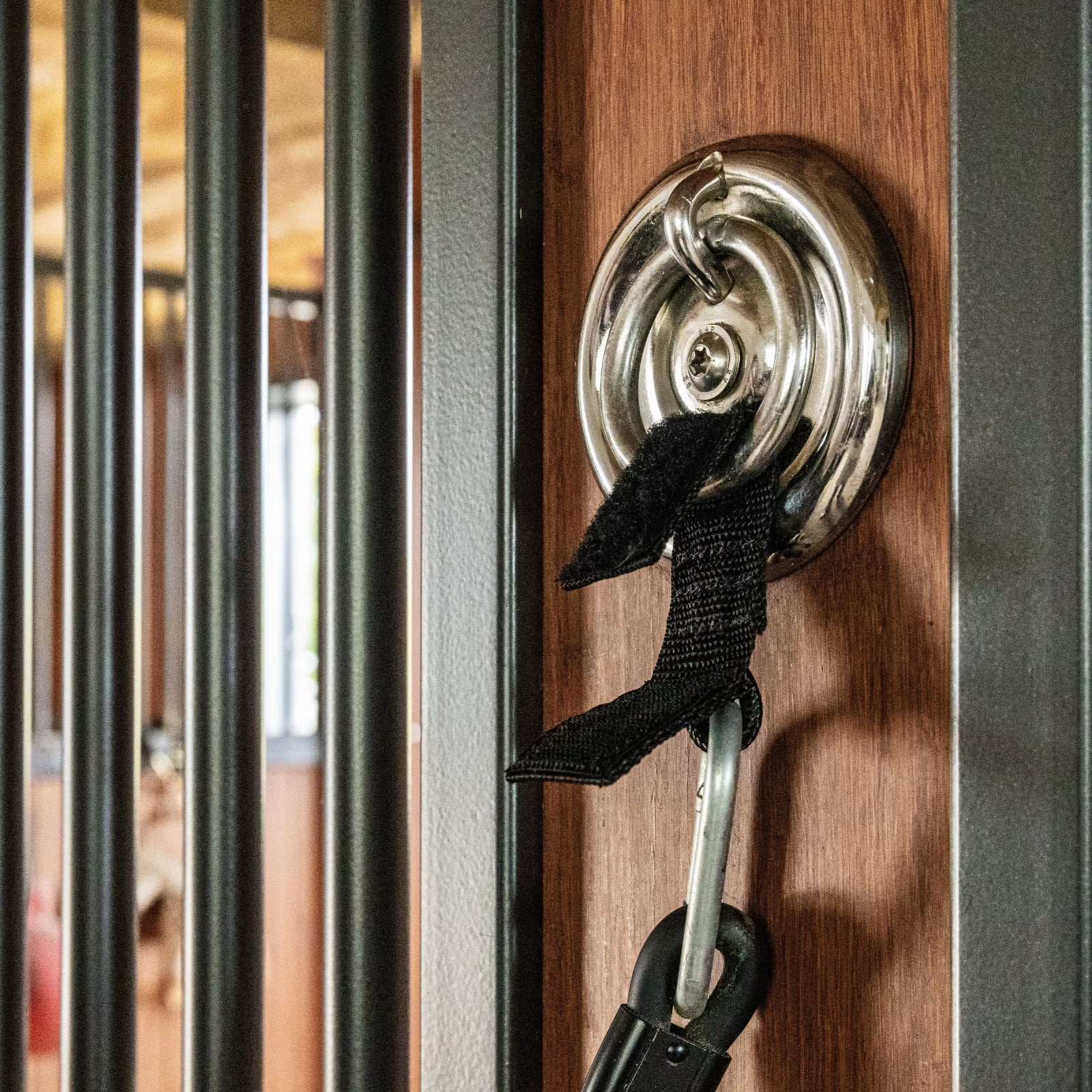 Grooming Deluxe Safety Loop