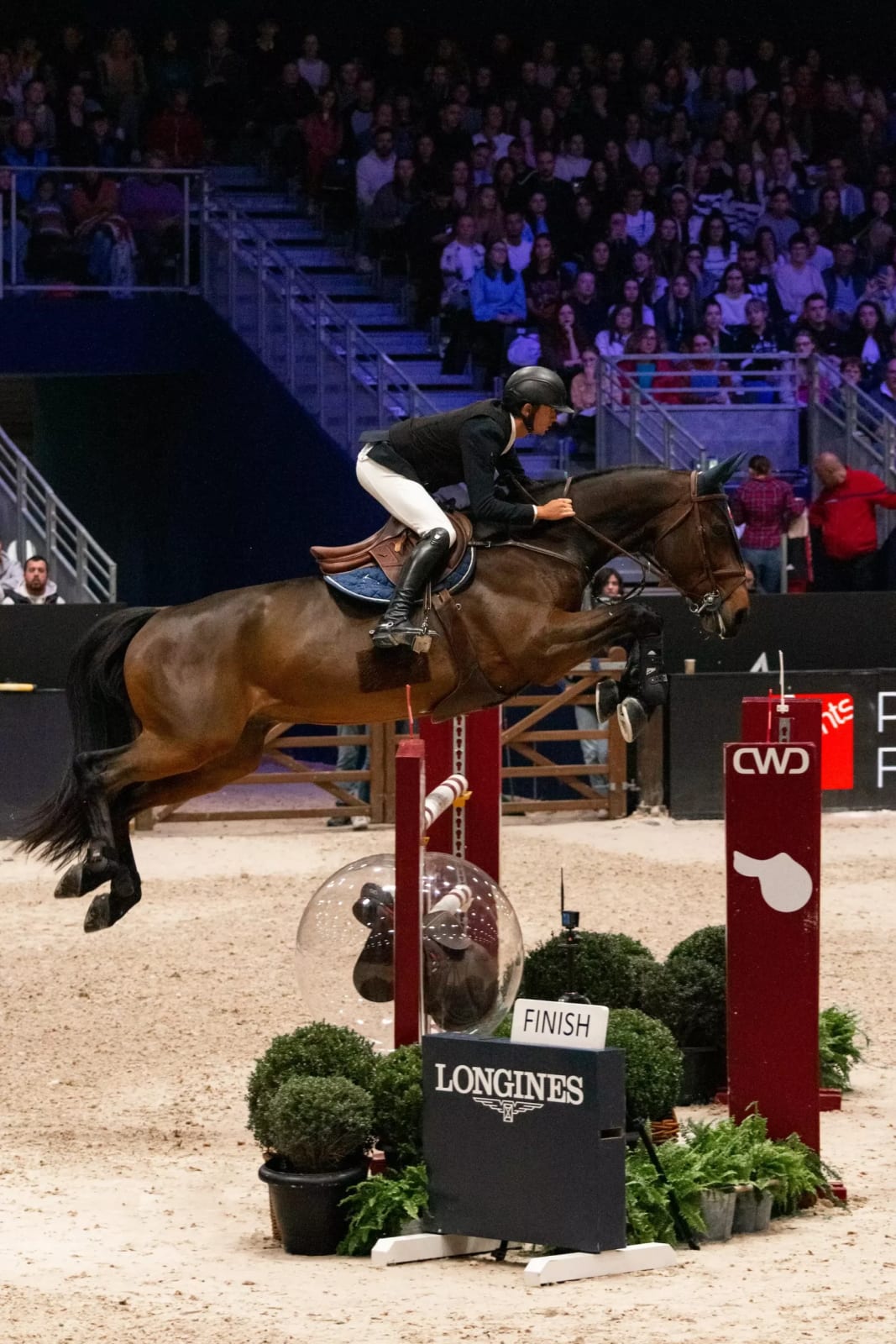 Seaver SafeFit Airbag