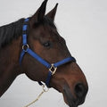 RS Deluxe Halter - Løwenborg - PG Løwenborg AS