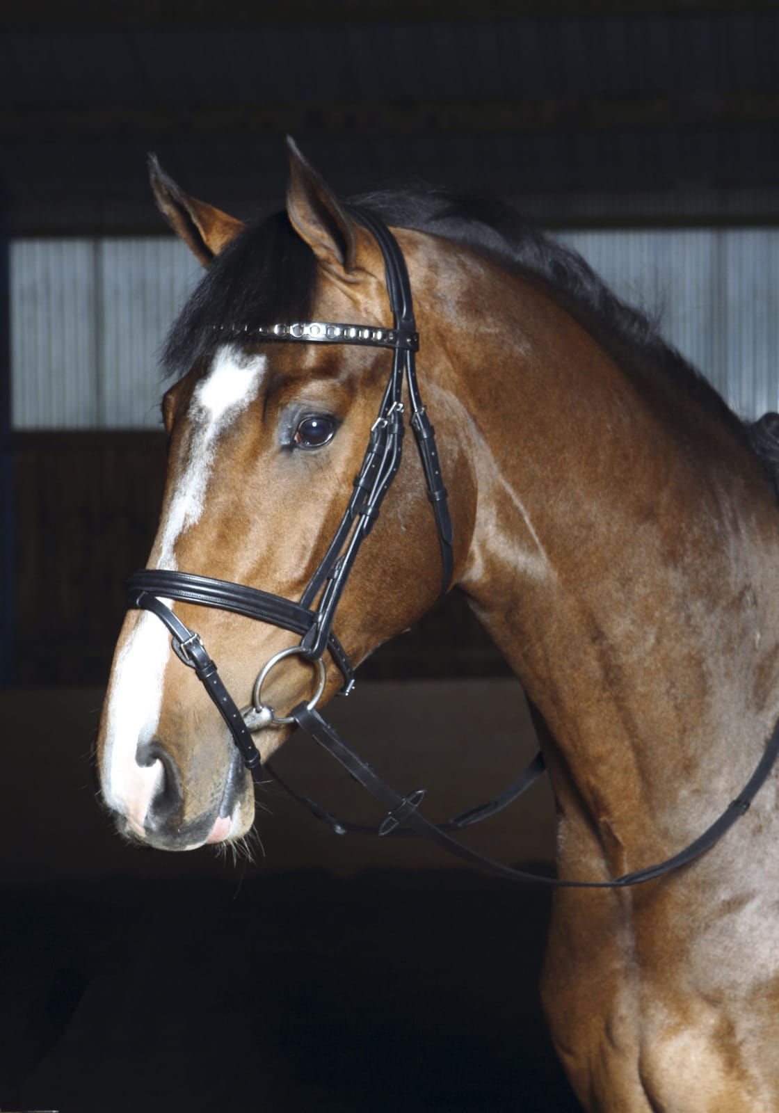 Optimum Marlin Hodelag