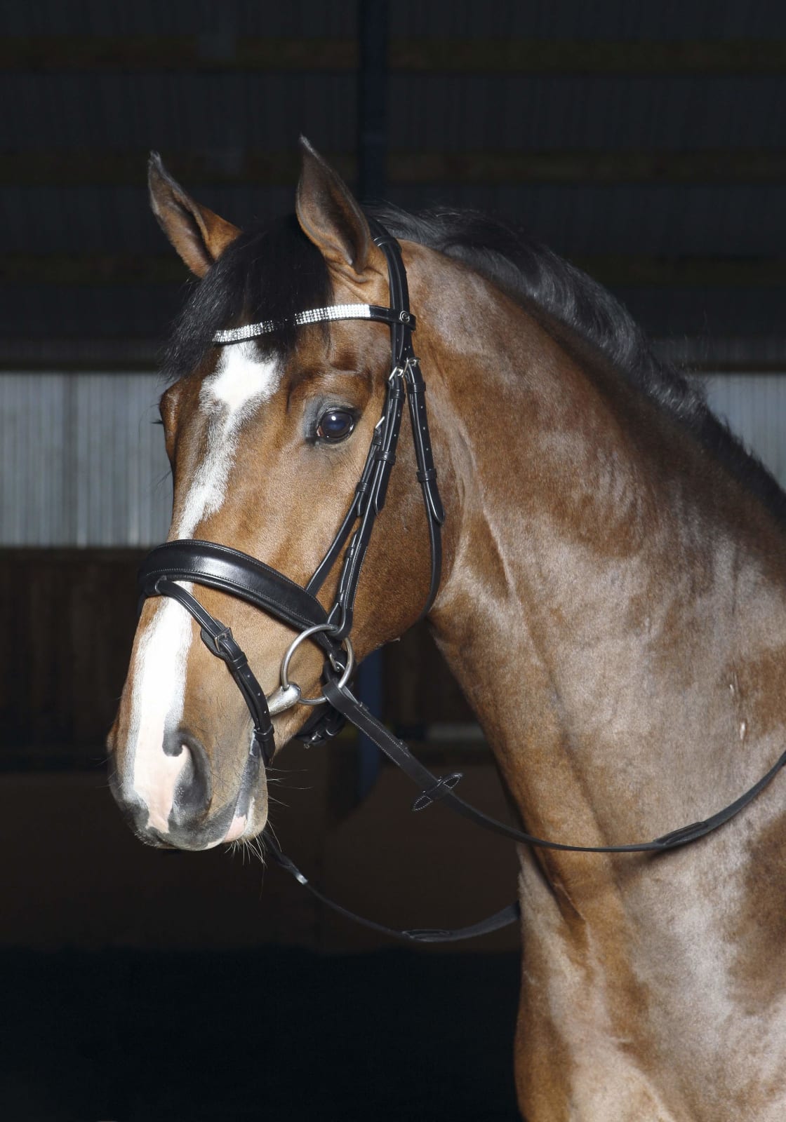 Optimum Nicole Hodelag