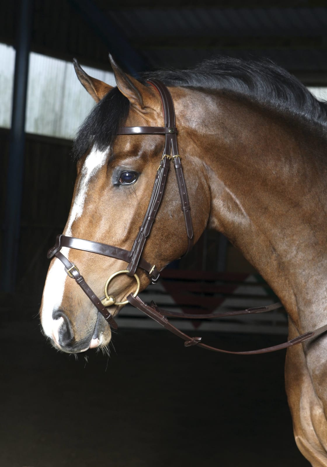 Optimum Edwina Hodelag