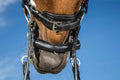 Dyon Chain Protection With Neoprene - Løwenborg - Dy'on