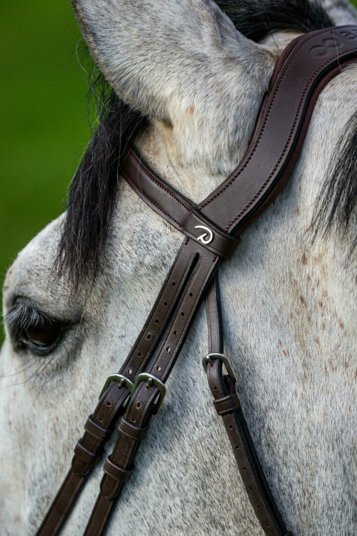 Dyon Flash Noseband Bridle La Cense - Løwenborg - Dy'on