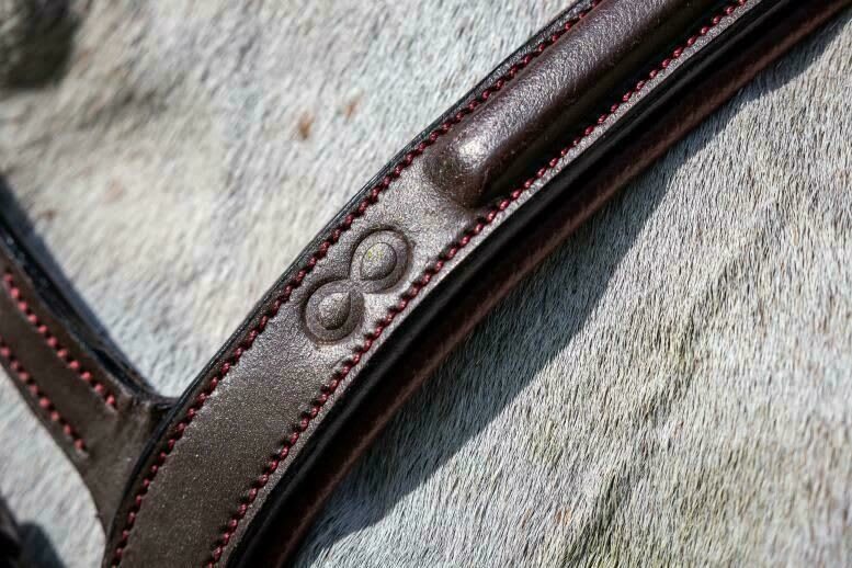 Dyon Flash Noseband Bridle La Cense - Løwenborg - Dy'on