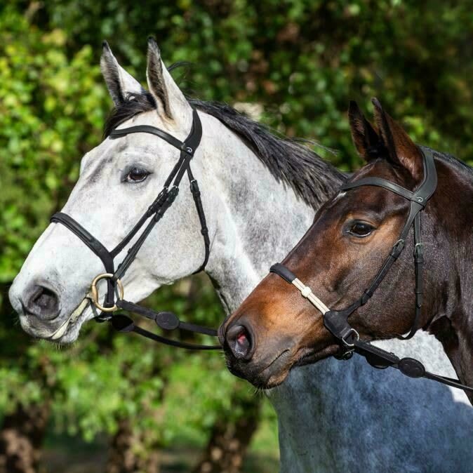 Dyon Flash Noseband Bridle La Cense - Løwenborg - Dy'on