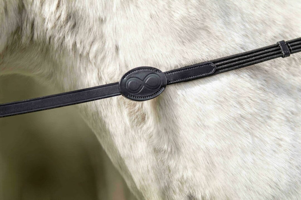 Dyon 16mm Web Reins With 9 Leather Loops La Cense - Løwenborg - Dy'on