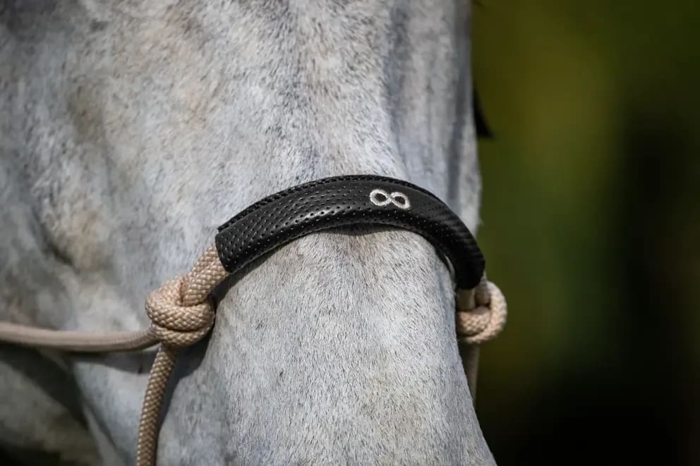 Dyon Training Head Collar La Cense - Løwenborg - Dy'on