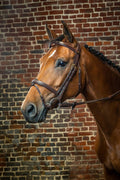 Dyon Flash Noseband Bridle D Collection - Løwenborg - Dy'on