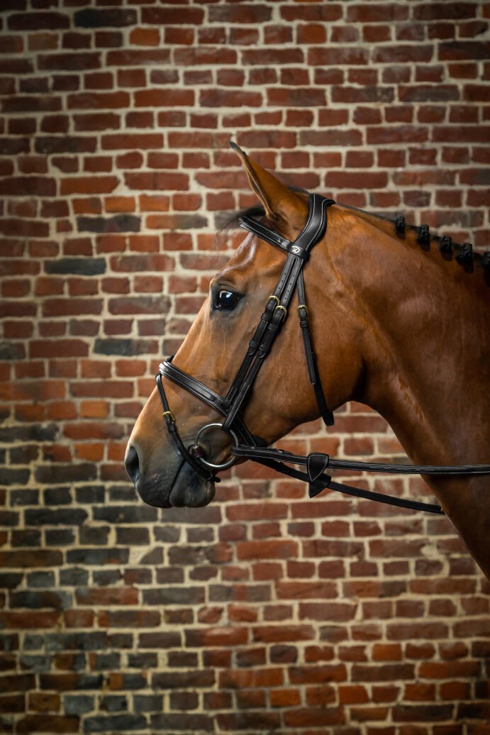 Dyon Flash Noseband Bridle D Collection - Løwenborg - Dy'on