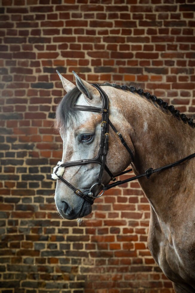 Dyon Fig 8 Noseband Bridle D Collection - Løwenborg - Dy'on