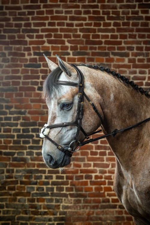 Dyon Fig 8 Noseband Bridle D Collection - Løwenborg - Dy'on