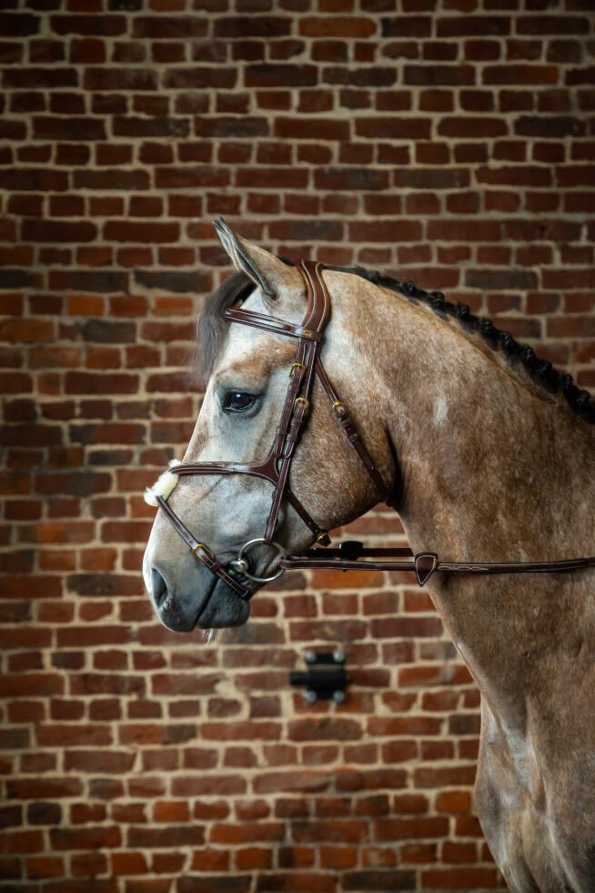 Dyon Fig 8 Noseband Bridle D Collection - Løwenborg - Dy'on